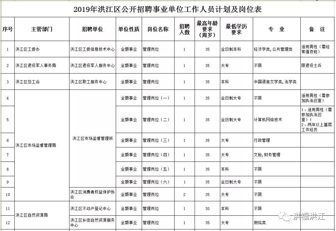 洪江市審計局招聘新動態(tài)概覽，最新招聘信息及細節(jié)解讀