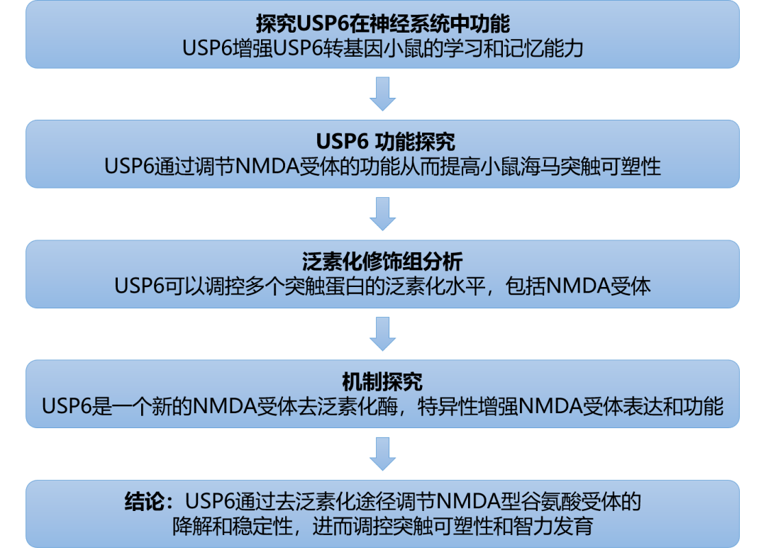 2025新澳今晚資料,環(huán)境適應(yīng)性策略應(yīng)用,挑戰(zhàn)款88.250