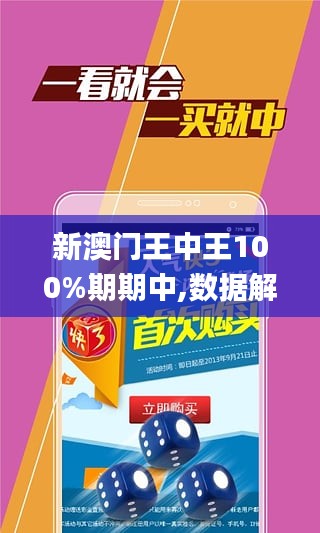 新澳门王中王100%期期中，动态调整策略执行