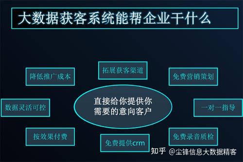 2024新澳精准免费大全，实地分析考察数据